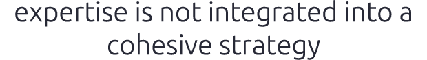 expertise is not integrated into a cohesive strategy