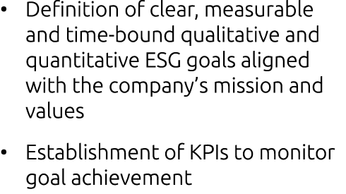 • Definition of clear, measurable and time bound qualitative and quantitative ESG goals aligned with the company’s mi...