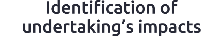 Identification of undertaking’s impacts