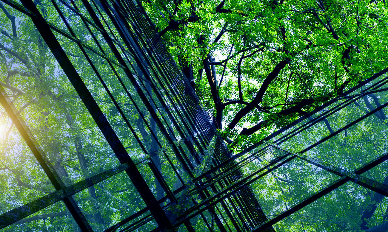 Green Eco Building