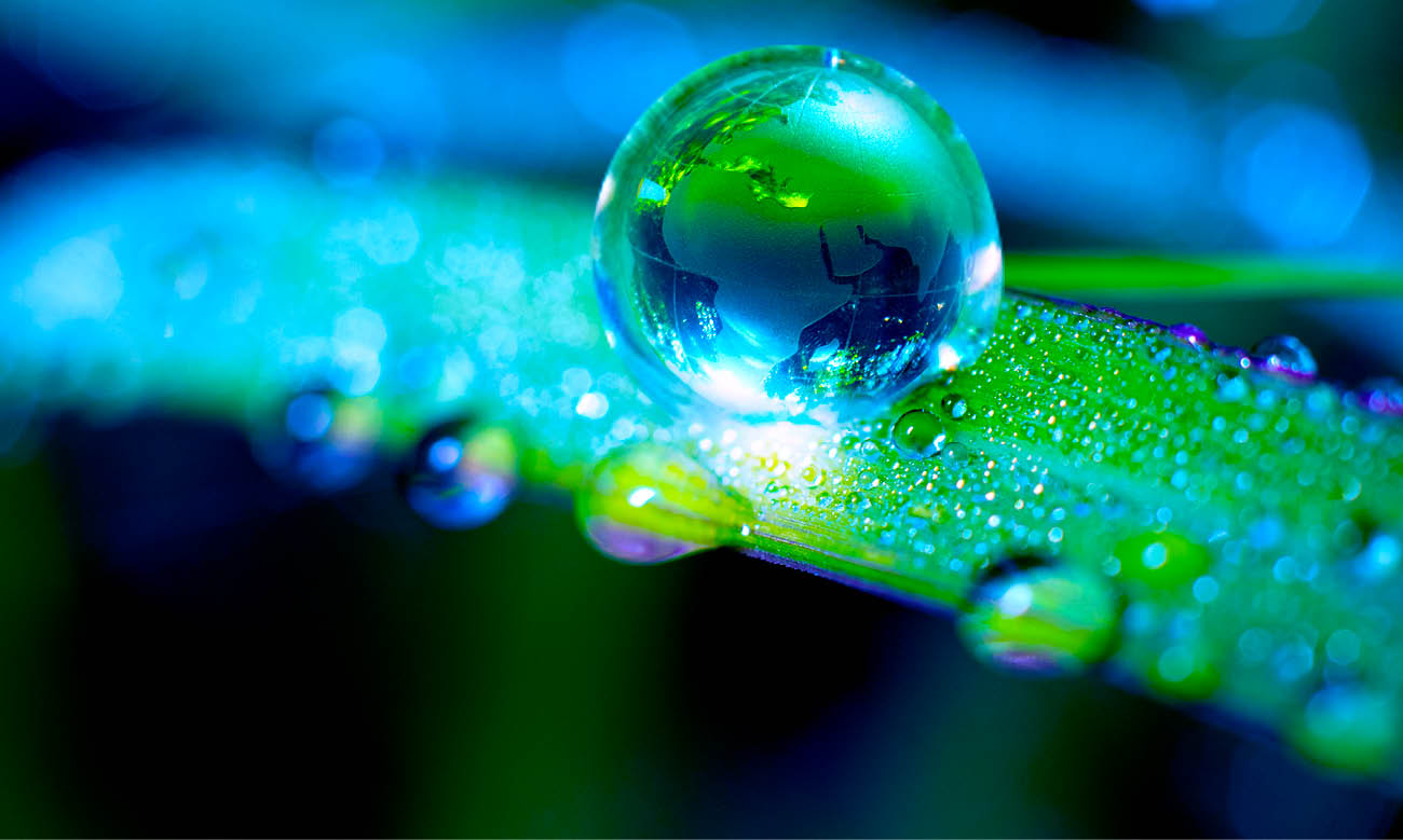 Renewable energy concept Earth Day or environment protection Hands protect forests that grow on the ground and help save the world.