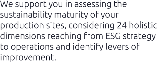 We support you in assessing the sustainability maturity of your production sites, considering 24 holistic dimensions ...