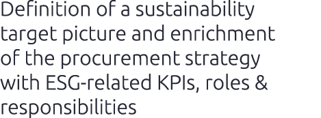 Definition of a sustainability target picture and enrichment of the procurement strategy with ESG related KPIs, roles...