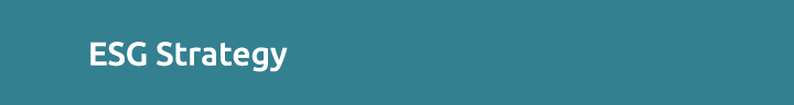 ESG Strategy