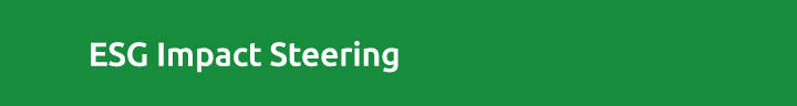 ESG Impact Steering