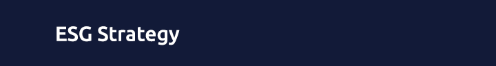 ESG Strategy