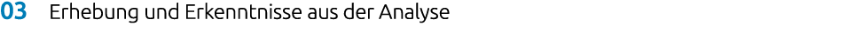 03 Erhebung und Erkenntnisse aus der Analyse