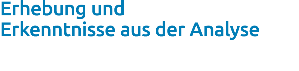 Erhebung und Erkenntnisse aus der Analyse