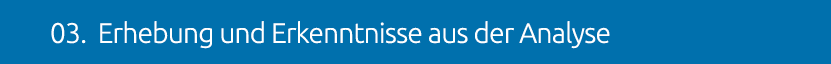 03. Erhebung und Erkenntnisse aus der Analyse