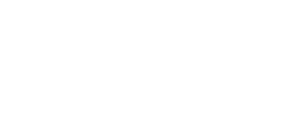 ADVANCED PLANNING AND SCHEDULING (APS)