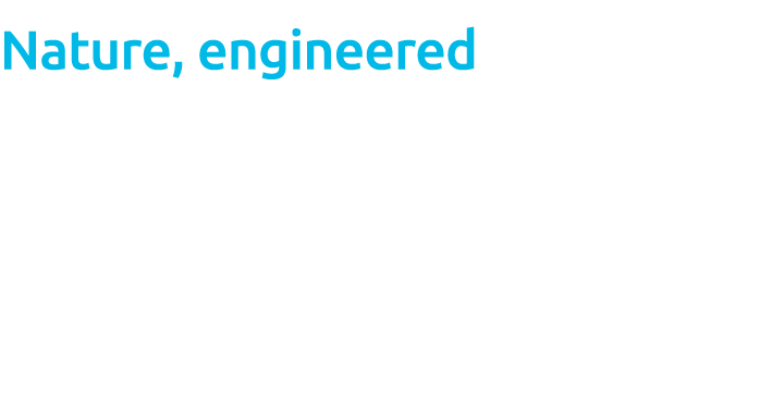 Nature, engineered AI and quantum computing redesigns enzymes — and the R&D playbook