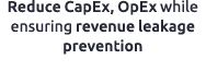 Reduce CapEx, OpEx while ensuring revenue leakage prevention 