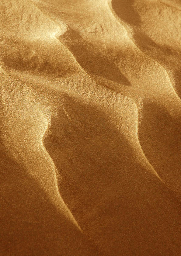Rippled sand patterns at sunrise with strong contrast between shadow and light.