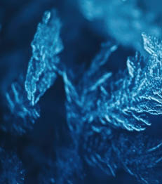 Artistic close-up of frosty window patterns illuminated by soft blue light, capturing intricate icy textures in a magical winter theme