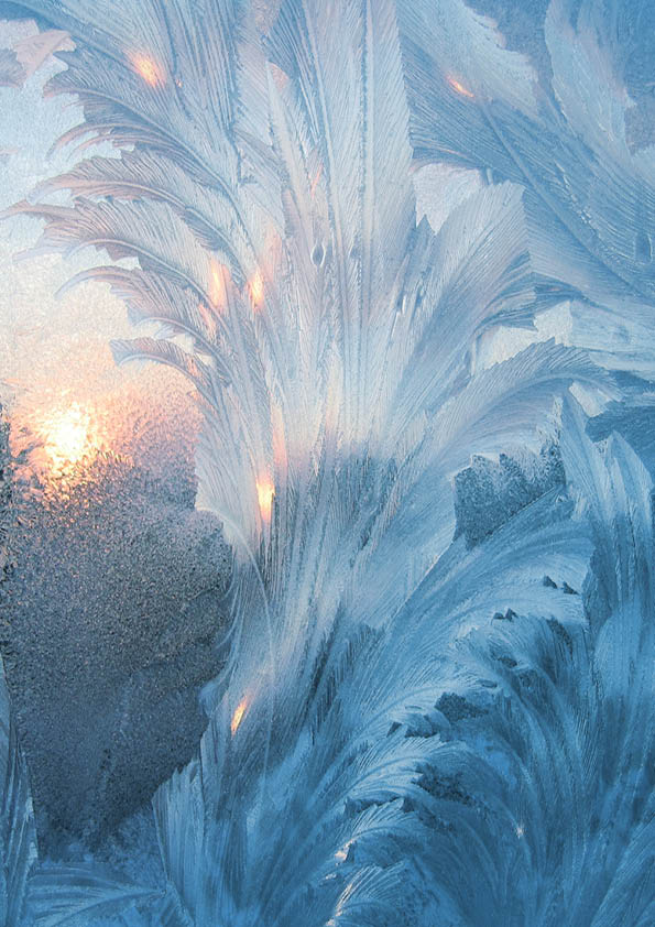 frosty natural pattern and sun on winter window