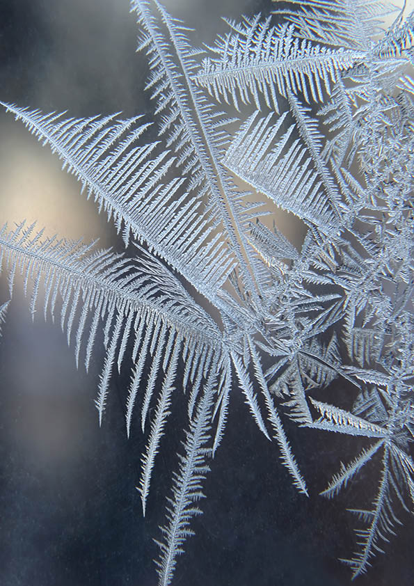 ice patterns on frozen window