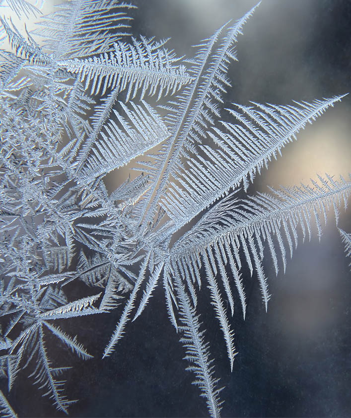 ice patterns on frozen window