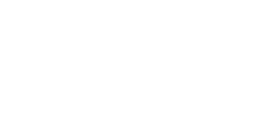 Dream it. Do it.