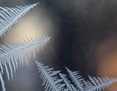 ice patterns on frozen window