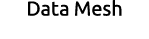Data Mesh