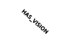 HAS_VISION