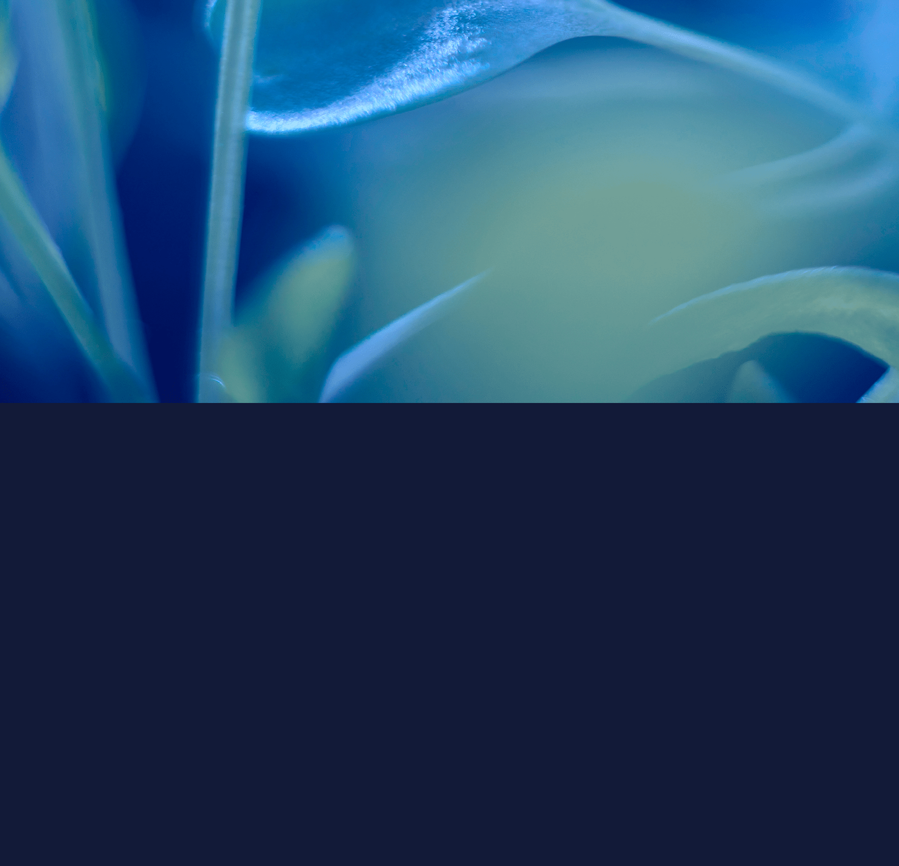 A blue and green plant with a leaf. Description generated by AI