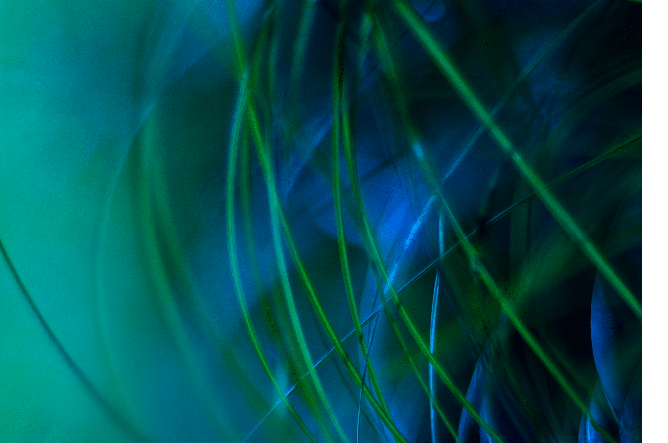 A blue and green field of grass. Description generated by AI