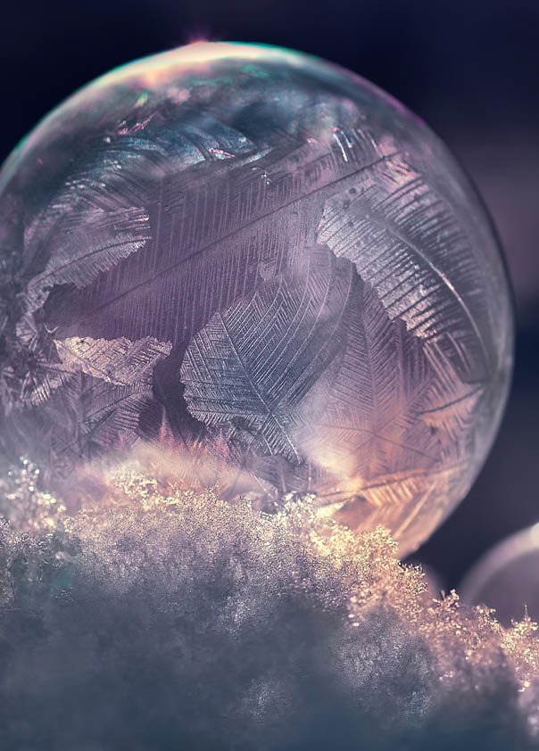 Freezing soap bubbles create beautiful floral textures