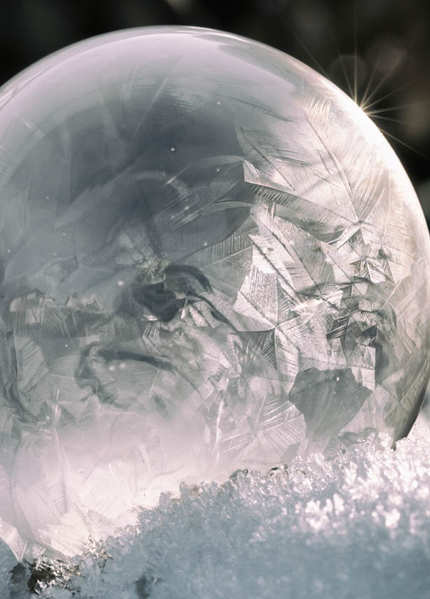 The charm and magic of winter, the delicate textures of frozen bubbles