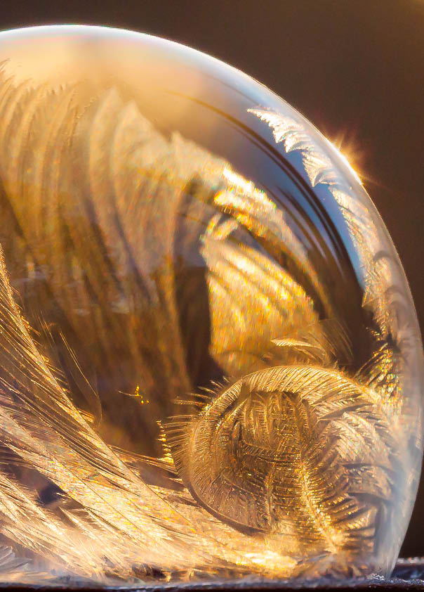 Delicate & Fragile, partially frozen soap bubble resting on a long leaf at dawn, bokeh sunrise background, small starburst, delicate jack frost ice patterns