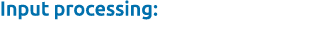 Input processing: 