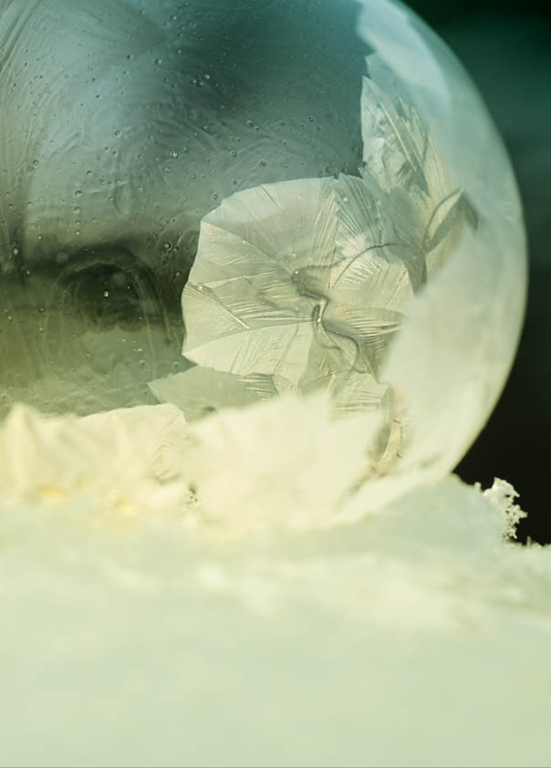 The charm and magic of winter, the delicate textures of frozen bubbles