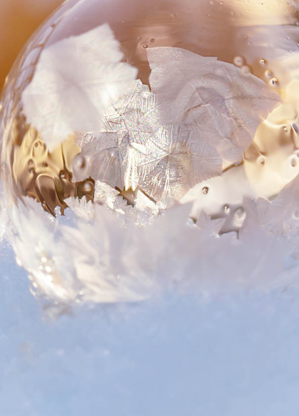 The charm and magic of winter, the delicate textures of frozen bubbles