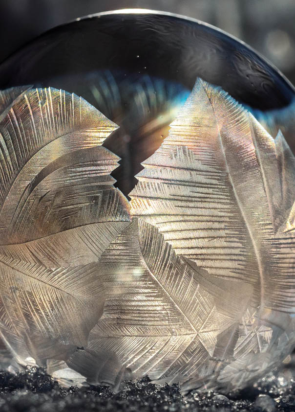 Frozen Soap Bubble on snow