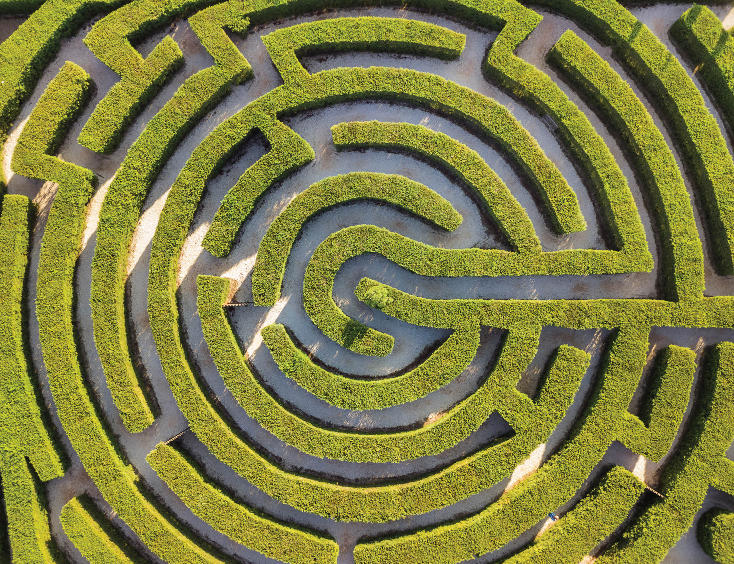 Maze of bushes in botanical park - Ayia Napa Cyprus - nature background
