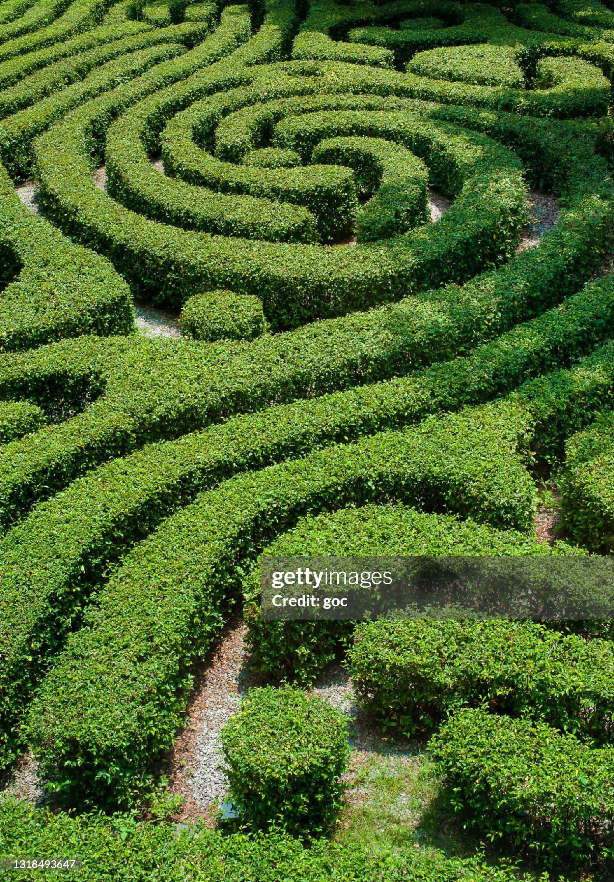 Seamless floral pattern Ornamental garden background