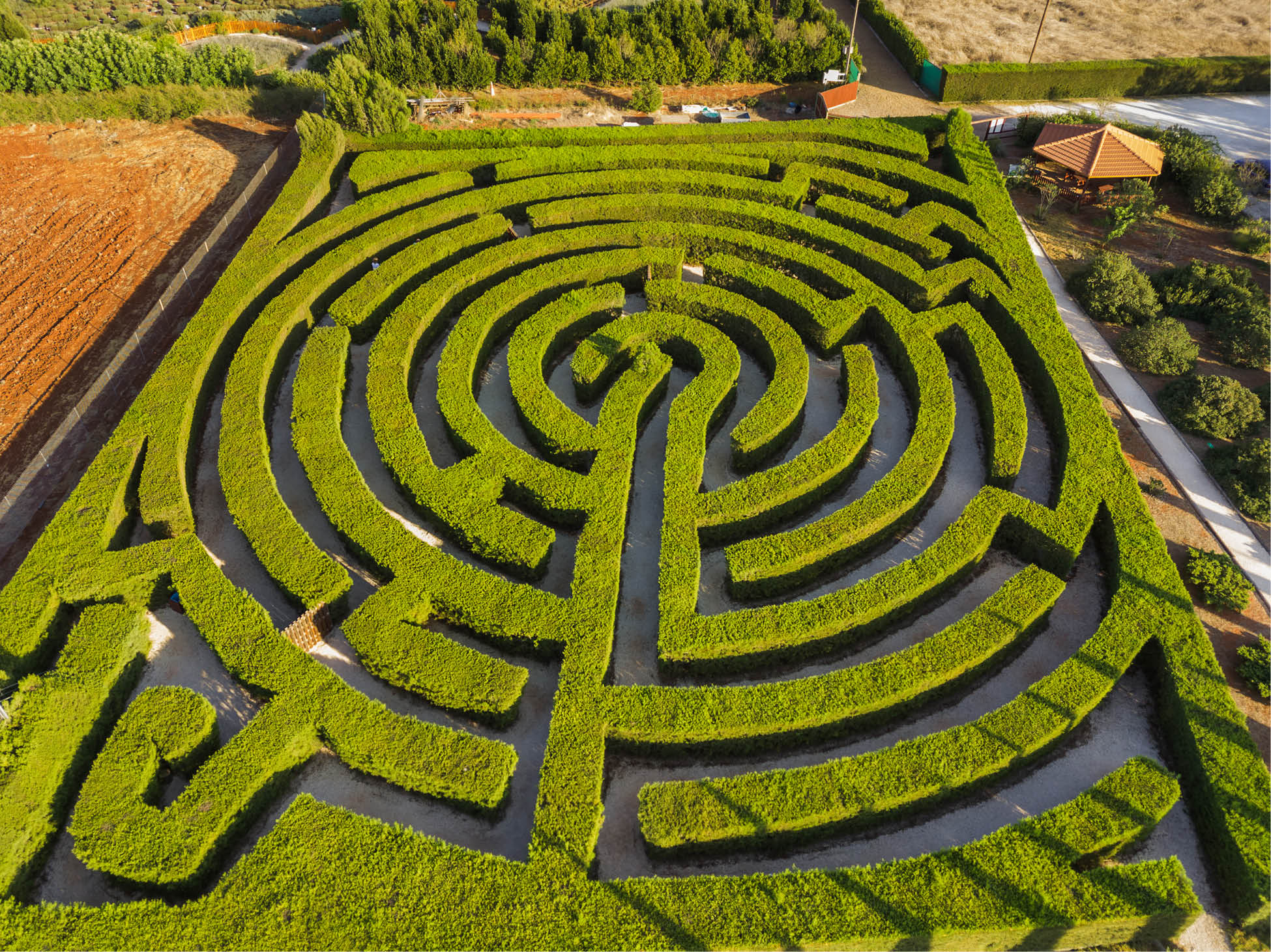 Maze of bushes in botanical park - Ayia Napa Cyprus - nature background