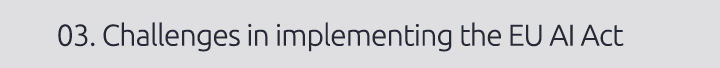 03. Challenges in implementing the EU AI Act