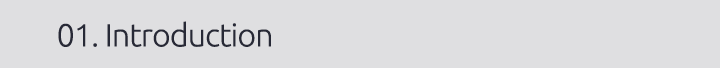 01. Introduction