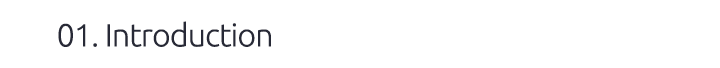 01. Introduction