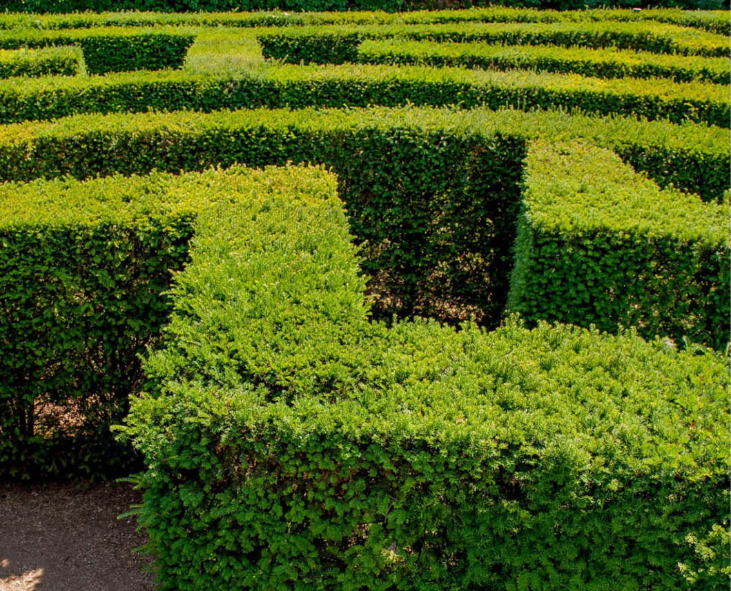 bergamo: botanical garden