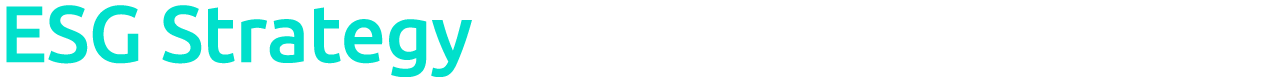 ESG Strategy 