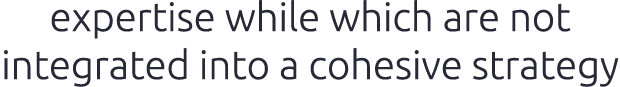 expertise while which are not integrated into a cohesive strategy