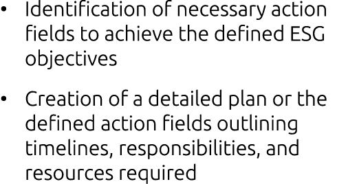 • Identification of necessary action fields to achieve the defined ESG objectives • Creation of a detailed plan or th...