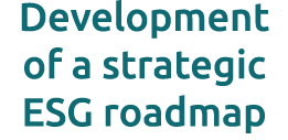 Development of a strategic ESG roadmap 