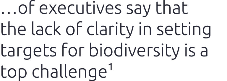 …of executives say that the lack of clarity in setting targets for biodiversity is a top challenge1 
