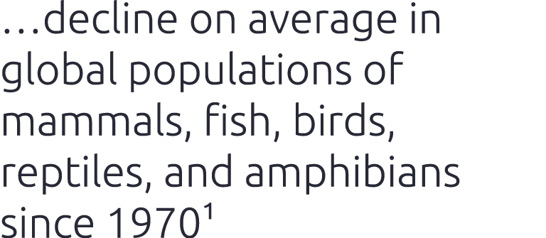 …decline on average in global populations of mammals, fish, birds, reptiles, and amphibians since 19701