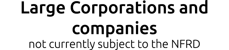 Large Corporations and companies not currently subject to the NFRD