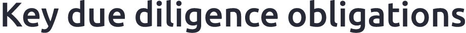 Key due diligence obligations