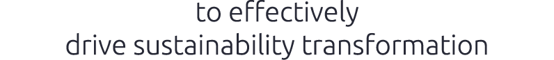 to effectively drive sustainability transformation
